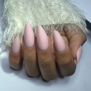 rosa reversa eudiceia neves